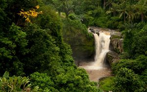 Preview wallpaper bali, indonesia, waterfall, forest, palm trees, rock