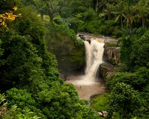 Preview wallpaper bali, indonesia, waterfall, forest, palm trees, rock