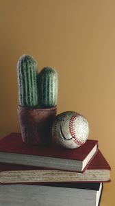 Preview wallpaper ball, cactus, books