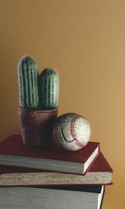 Preview wallpaper ball, cactus, books