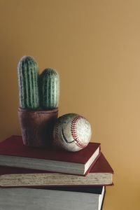 Preview wallpaper ball, cactus, books