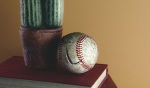 Preview wallpaper ball, cactus, books