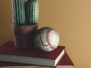 Preview wallpaper ball, cactus, books