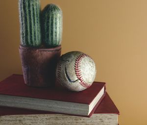 Preview wallpaper ball, cactus, books