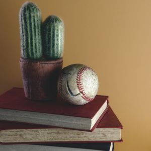 Preview wallpaper ball, cactus, books