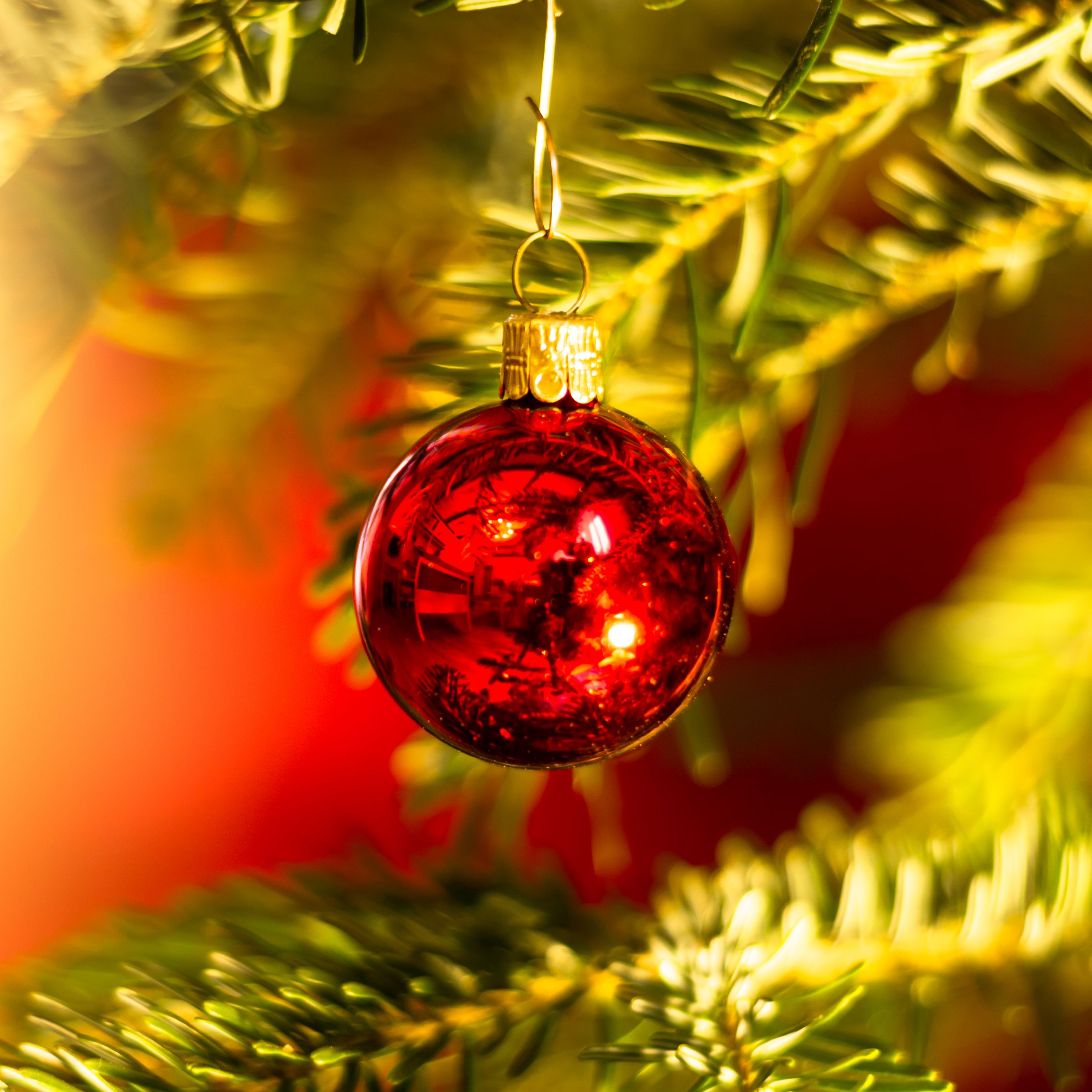 Download wallpaper 2780x2780 ball, decoration, red, christmas tree, new ...