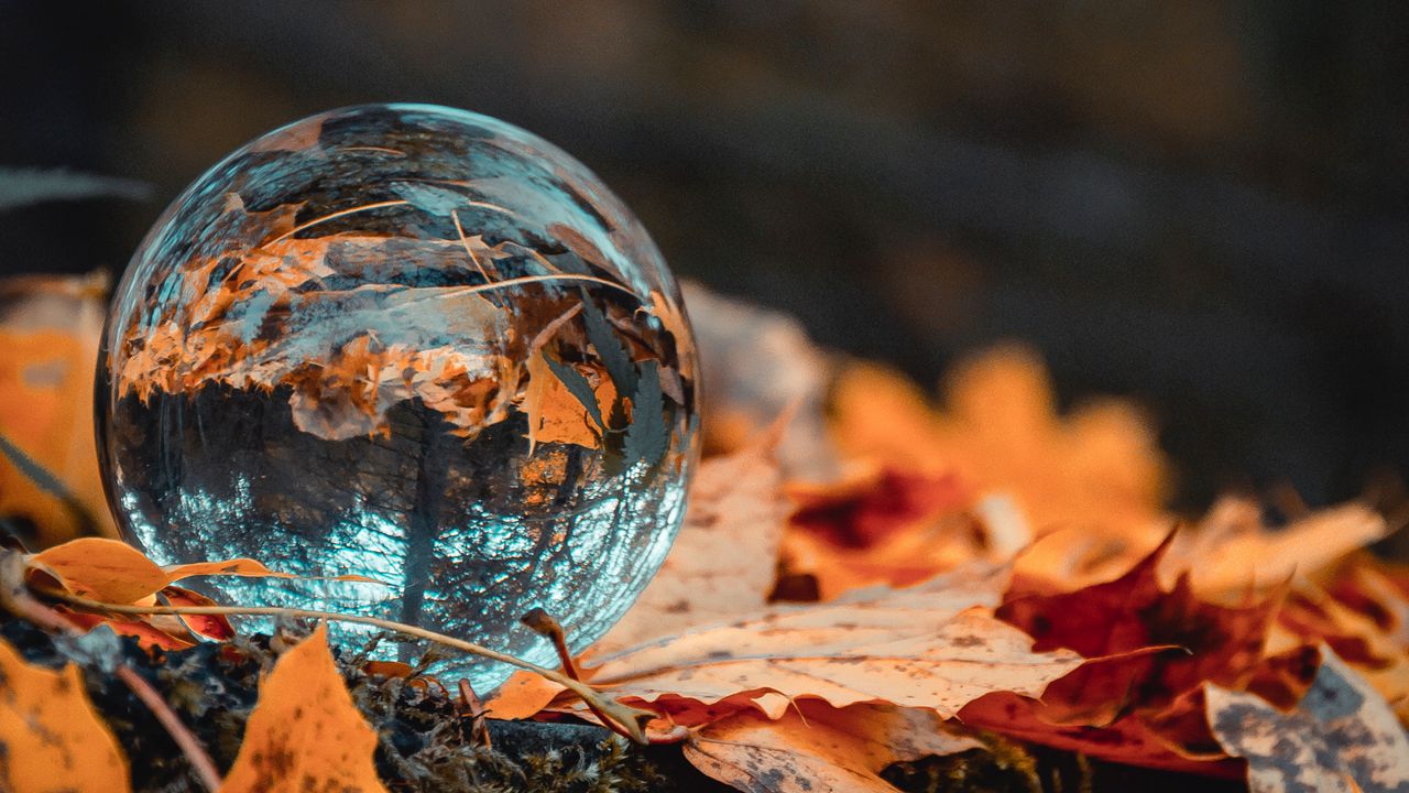 Wallpaper ball, glass, autumn, foliage, reflection