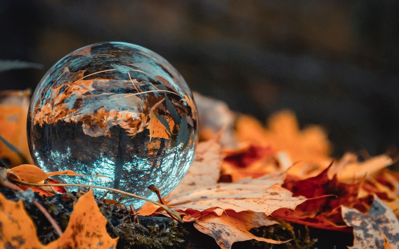 1280x800 Wallpaper ball, glass, autumn, foliage, reflection