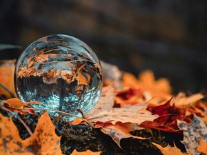 Preview wallpaper ball, glass, autumn, foliage, reflection