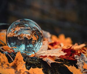 Preview wallpaper ball, glass, autumn, foliage, reflection