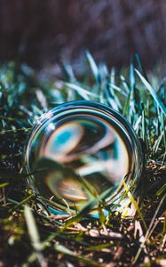 Preview wallpaper ball, glass, grass, close-up