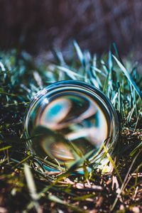 Preview wallpaper ball, glass, grass, close-up