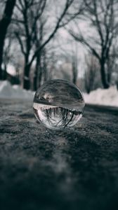 Preview wallpaper ball, glass, reflection, macro, blur, snow, trees