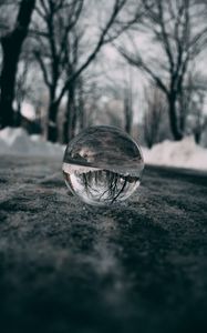 Preview wallpaper ball, glass, reflection, macro, blur, snow, trees