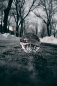 Preview wallpaper ball, glass, reflection, macro, blur, snow, trees