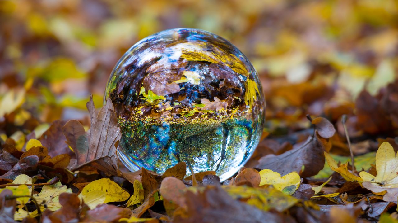 Wallpaper ball, glass, sphere, fall, foliage