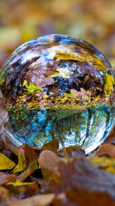 Preview wallpaper ball, glass, sphere, fall, foliage