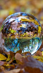 Preview wallpaper ball, glass, sphere, fall, foliage