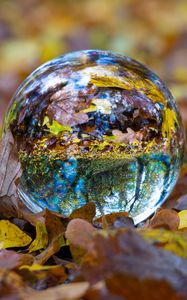 Preview wallpaper ball, glass, sphere, fall, foliage