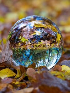 Preview wallpaper ball, glass, sphere, fall, foliage