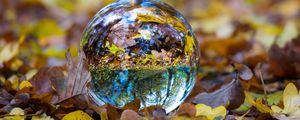 Preview wallpaper ball, glass, sphere, fall, foliage