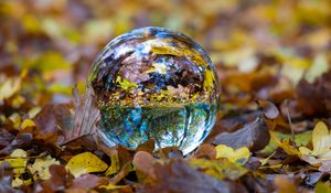 Preview wallpaper ball, glass, sphere, fall, foliage