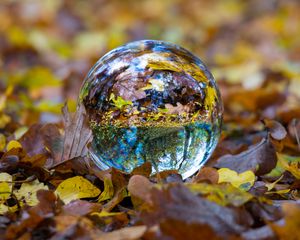 Preview wallpaper ball, glass, sphere, fall, foliage