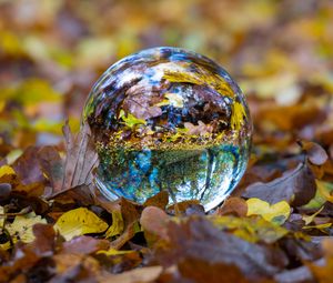 Preview wallpaper ball, glass, sphere, fall, foliage