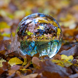 Preview wallpaper ball, glass, sphere, fall, foliage