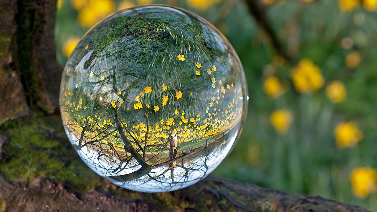 Wallpaper ball, glass, transparent, reflection, grass