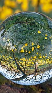 Preview wallpaper ball, glass, transparent, reflection, grass