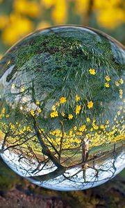 Preview wallpaper ball, glass, transparent, reflection, grass