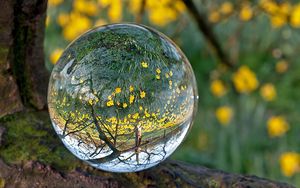 Preview wallpaper ball, glass, transparent, reflection, grass