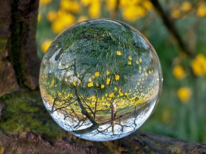 Preview wallpaper ball, glass, transparent, reflection, grass