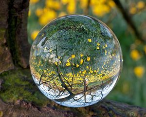 Preview wallpaper ball, glass, transparent, reflection, grass