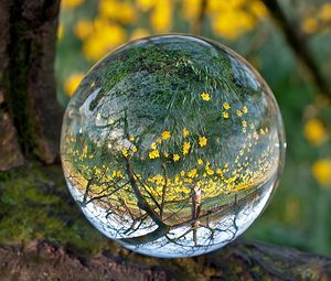 Preview wallpaper ball, glass, transparent, reflection, grass