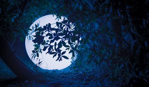 Preview wallpaper ball, glow, light, night, branches