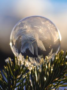 Preview wallpaper ball, hoarfrost, fir, branch, close-up