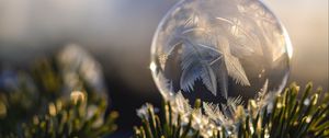 Preview wallpaper ball, hoarfrost, fir, branch, close-up