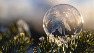 Preview wallpaper ball, hoarfrost, fir, branch, close-up