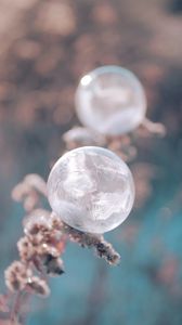 Preview wallpaper ball, ice, macro, plant, frost