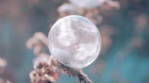 Preview wallpaper ball, ice, macro, plant, frost