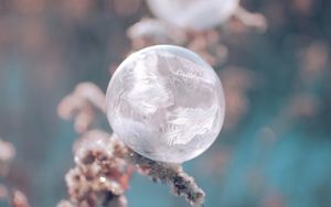 Preview wallpaper ball, ice, macro, plant, frost