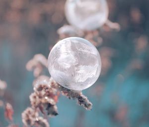 Preview wallpaper ball, ice, macro, plant, frost