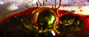 Preview wallpaper ball, liquid, splashes, macro