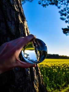 Preview wallpaper ball, reflection, hand