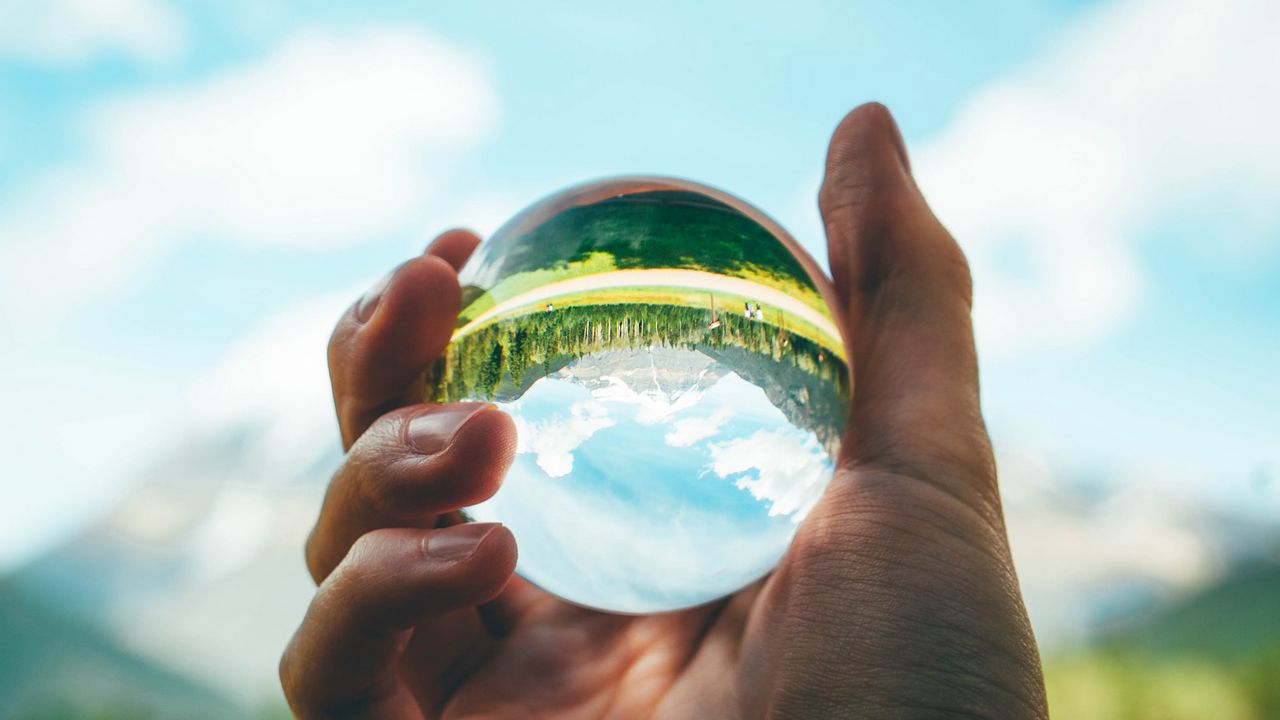 Wallpaper ball, reflection, hand, trees