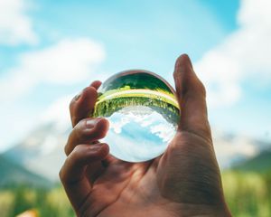 Preview wallpaper ball, reflection, hand, trees