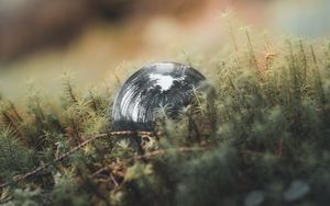 Preview wallpaper ball, reflection, trees, grass