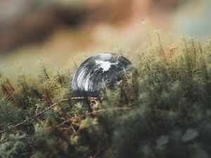 Preview wallpaper ball, reflection, trees, grass